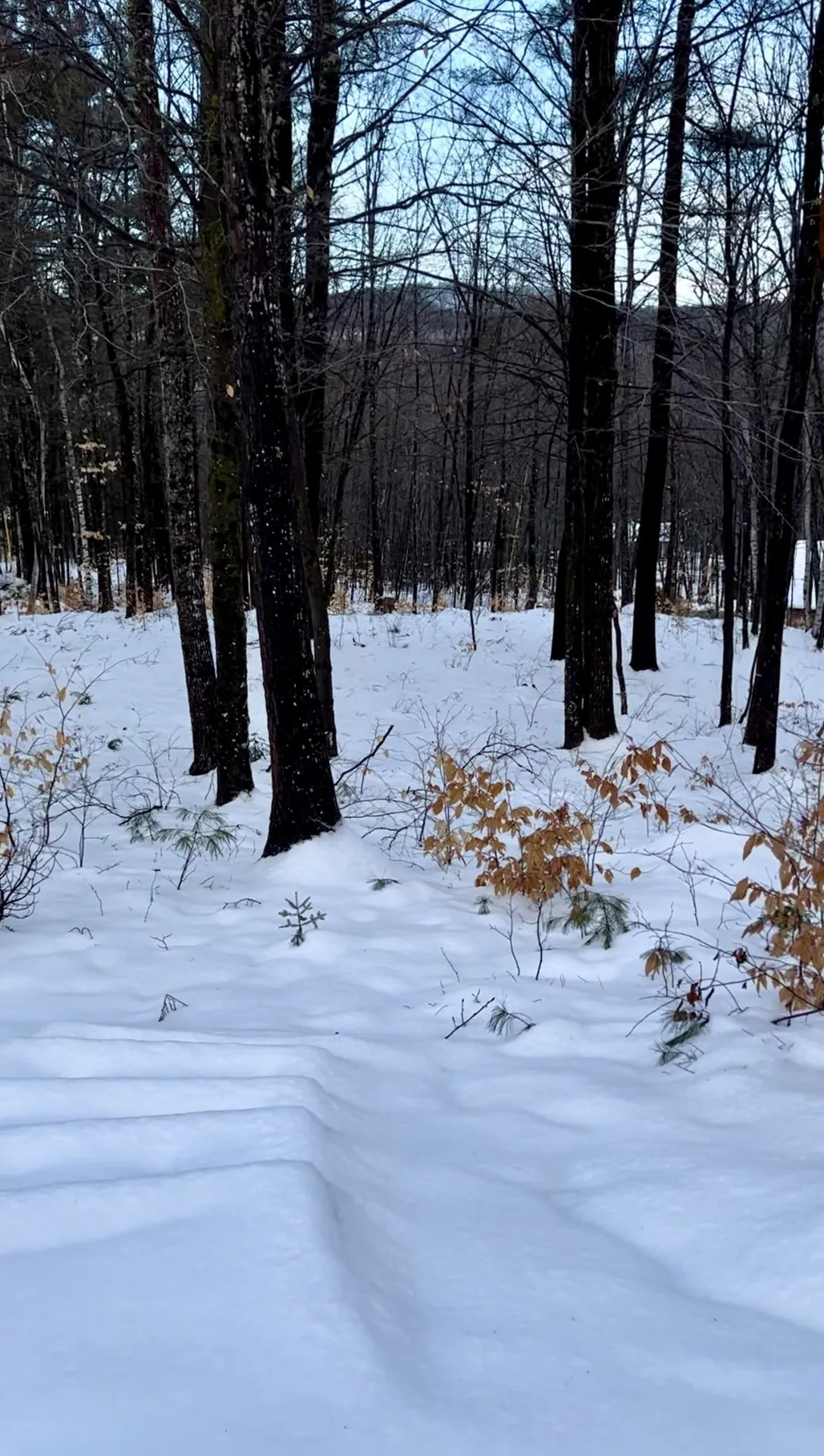 0 East Madison Road Madison NH 03849