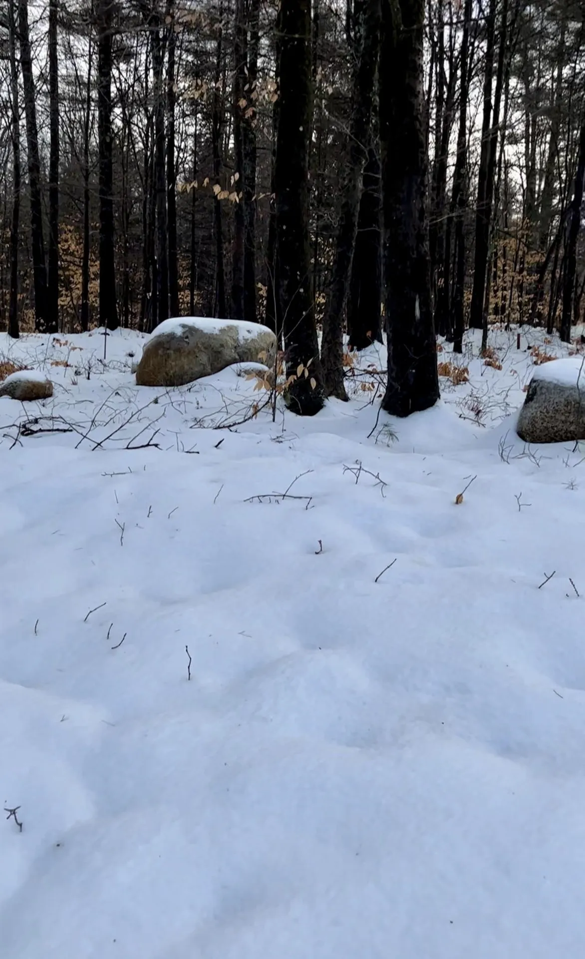 0 East Madison Road Madison NH 03849