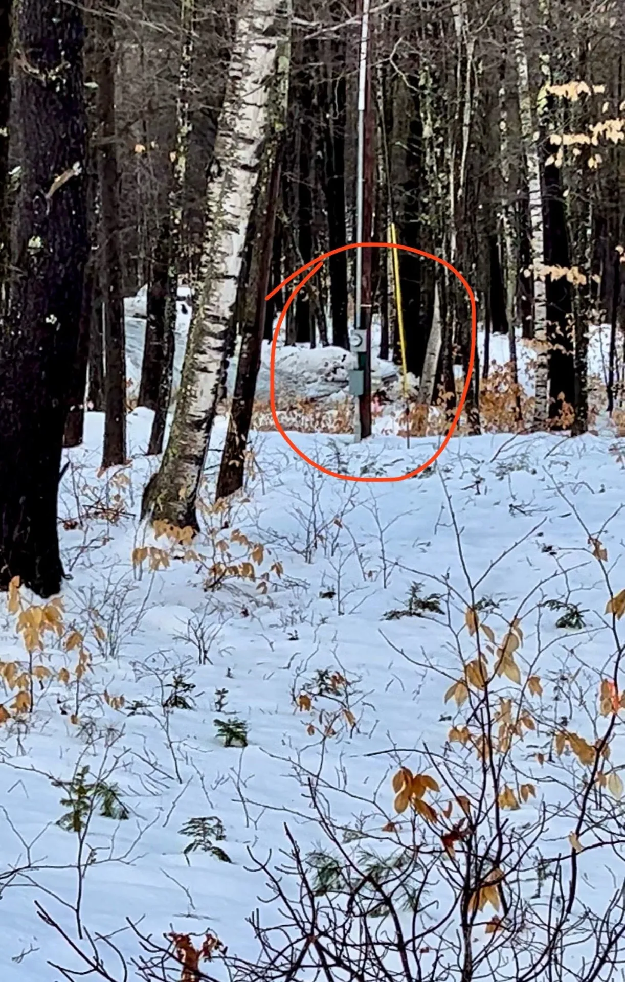 0 East Madison Road Madison NH 03849