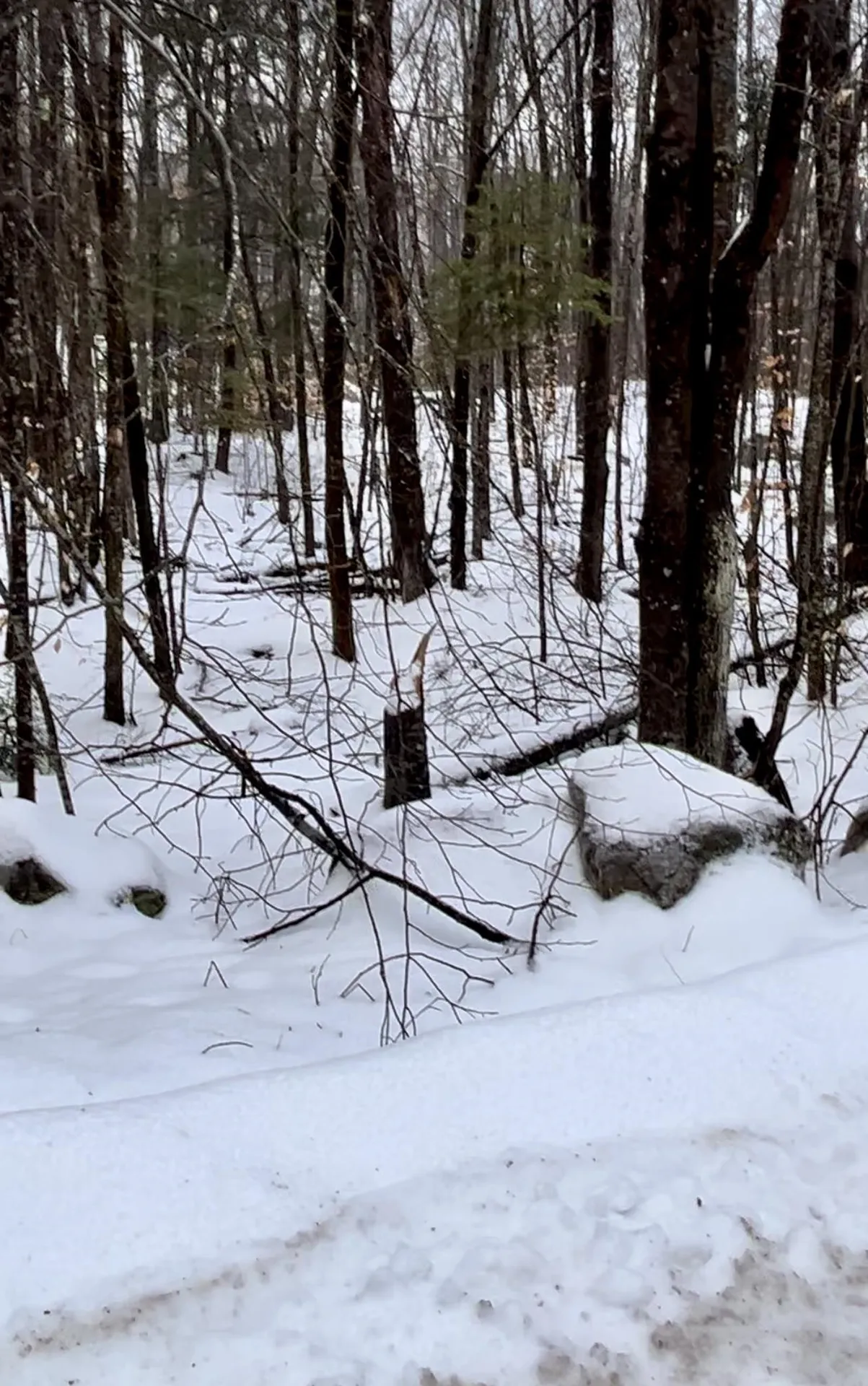 0 East Madison Road Madison NH 03849