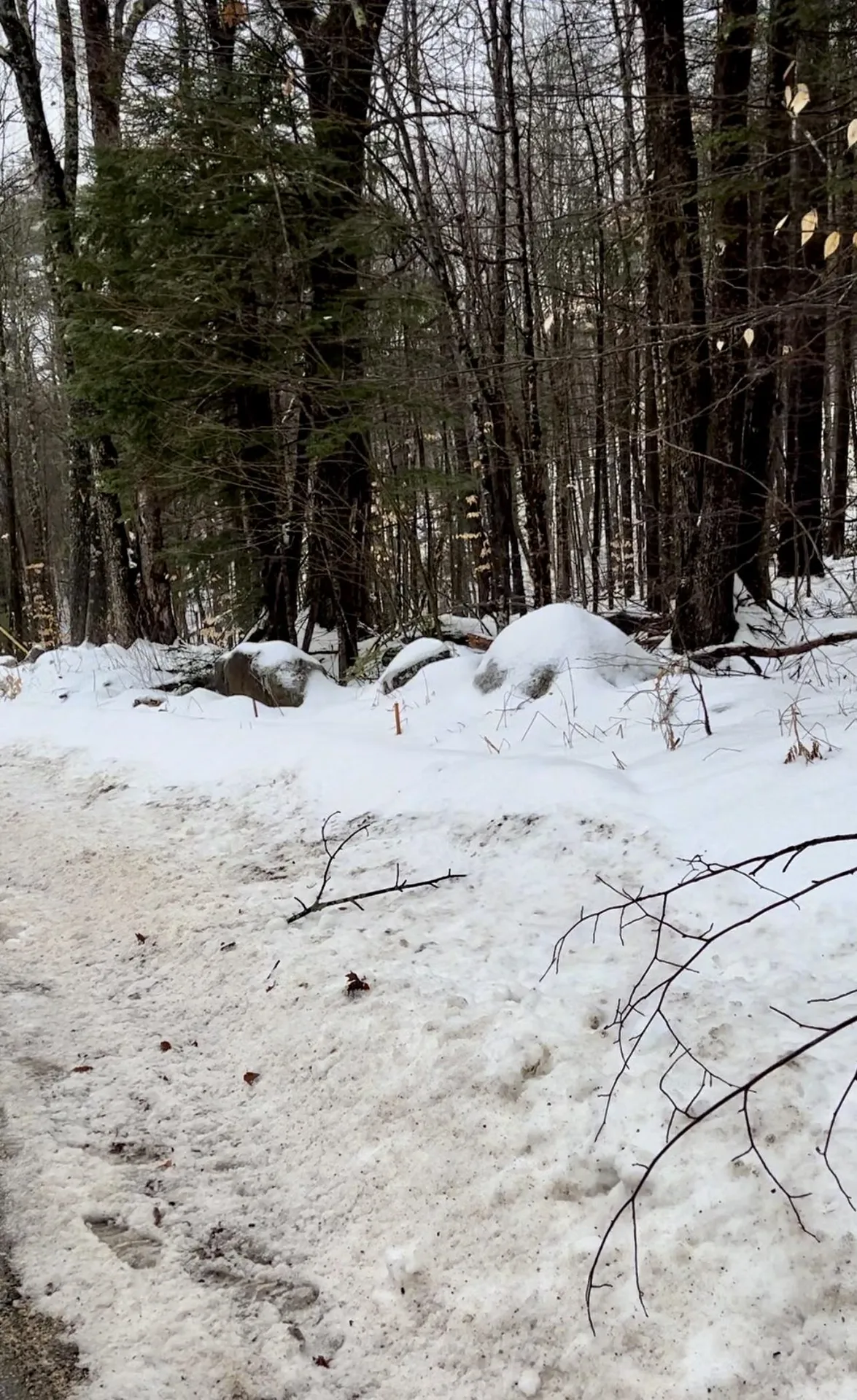 0 East Madison Road Madison NH 03849