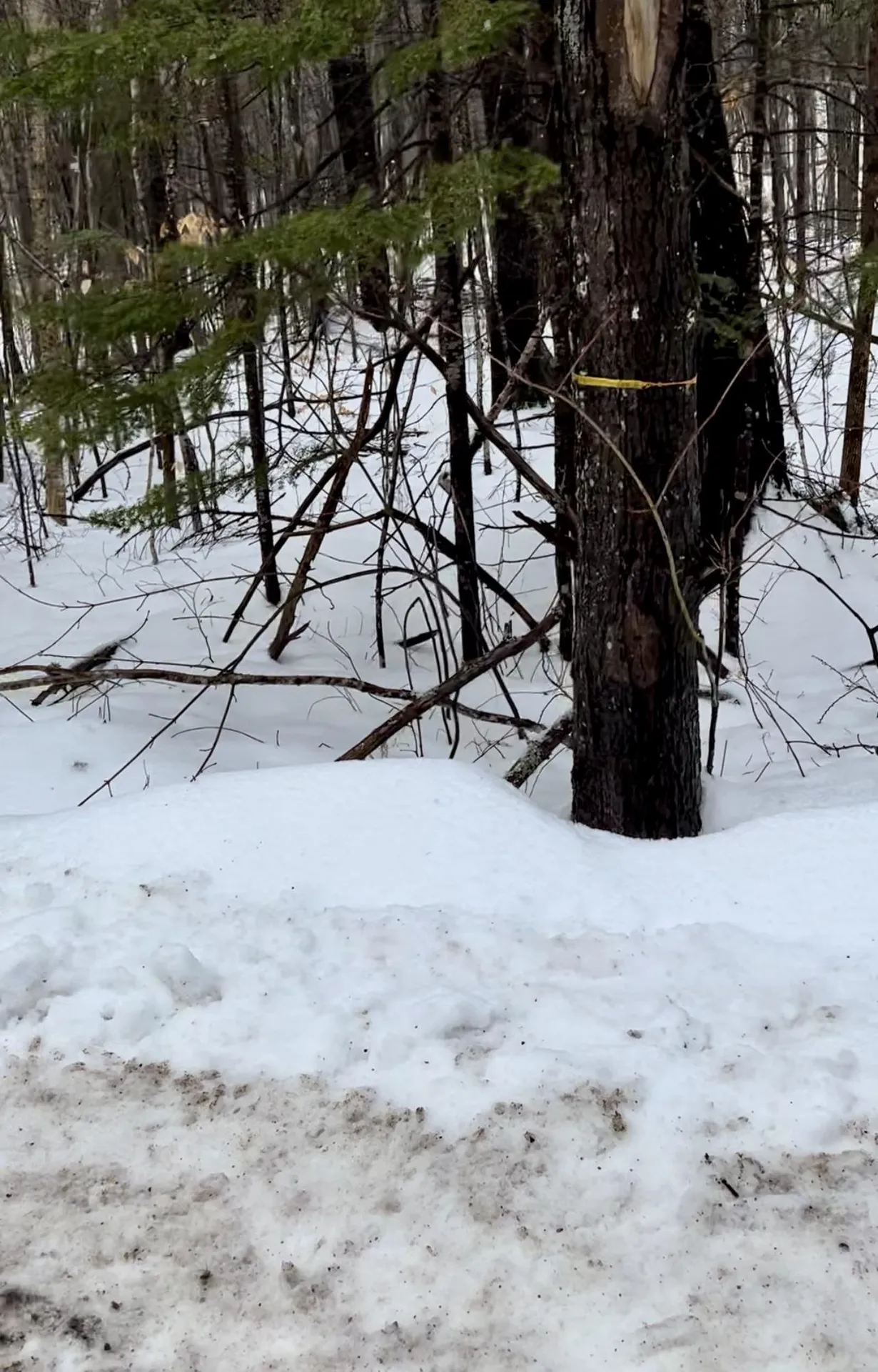 0 East Madison Road Madison NH 03849