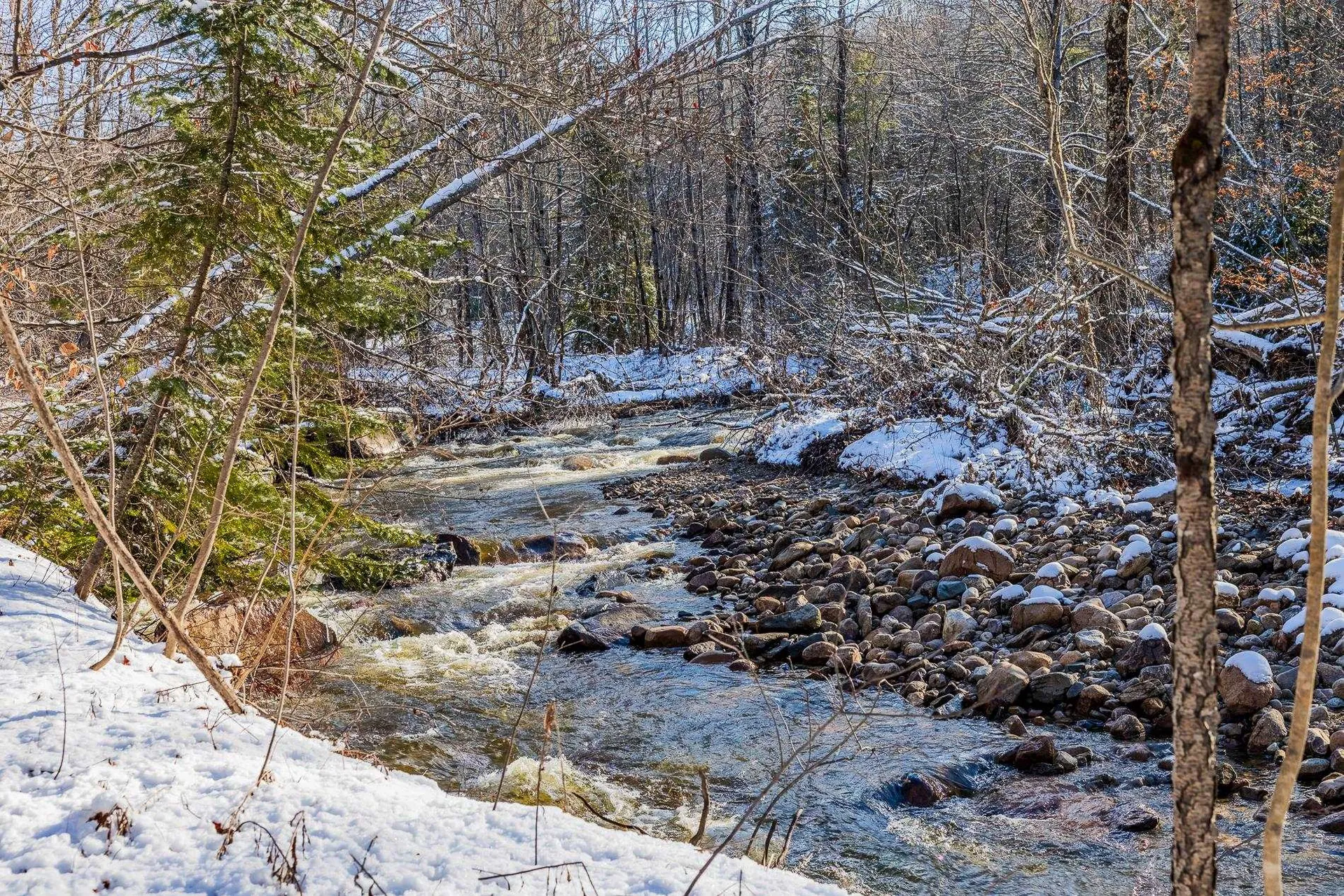 1871 Route 103 Mount Holly VT 05758