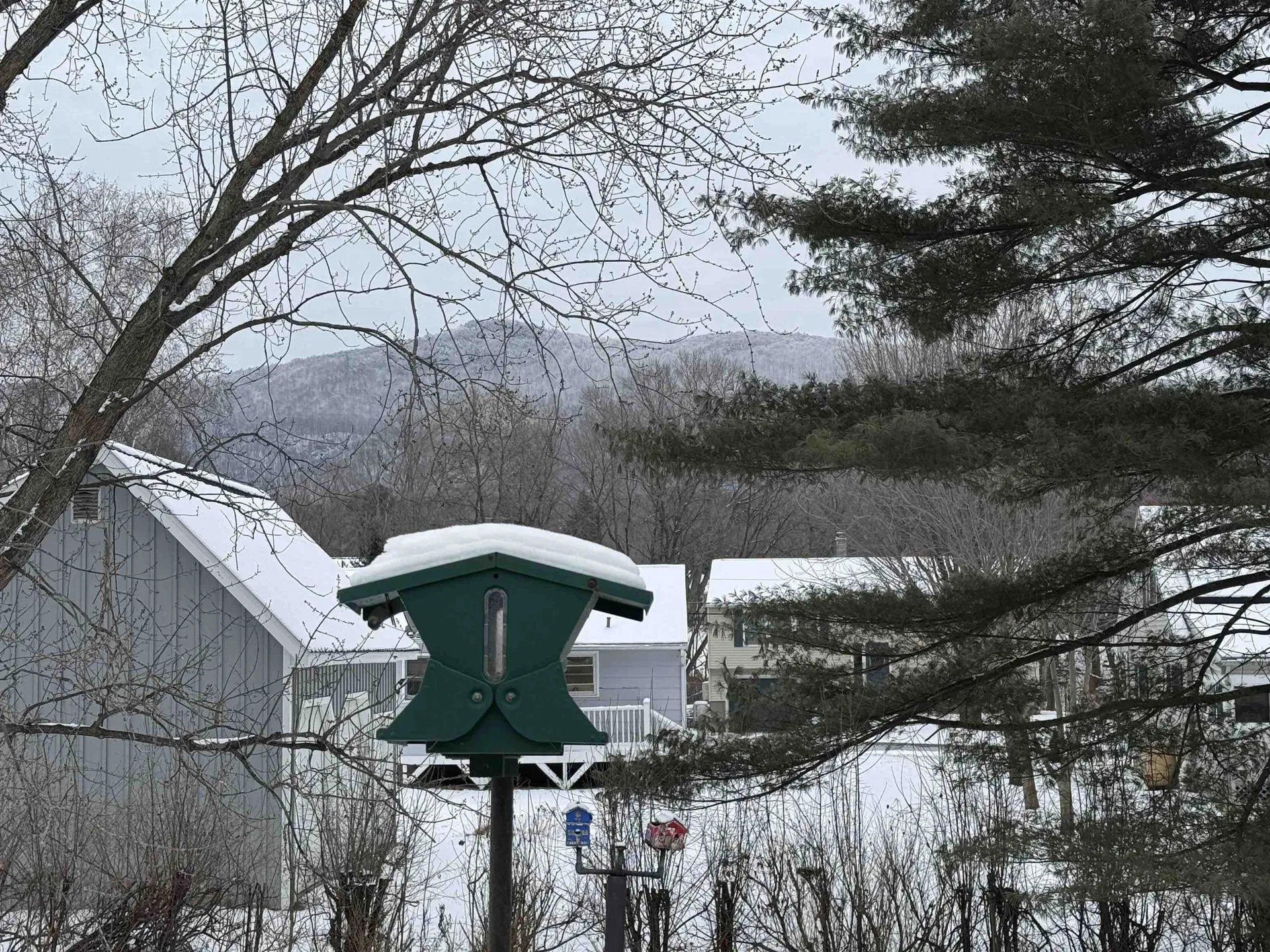 4 Ronaldo Court Rutland City VT 05701