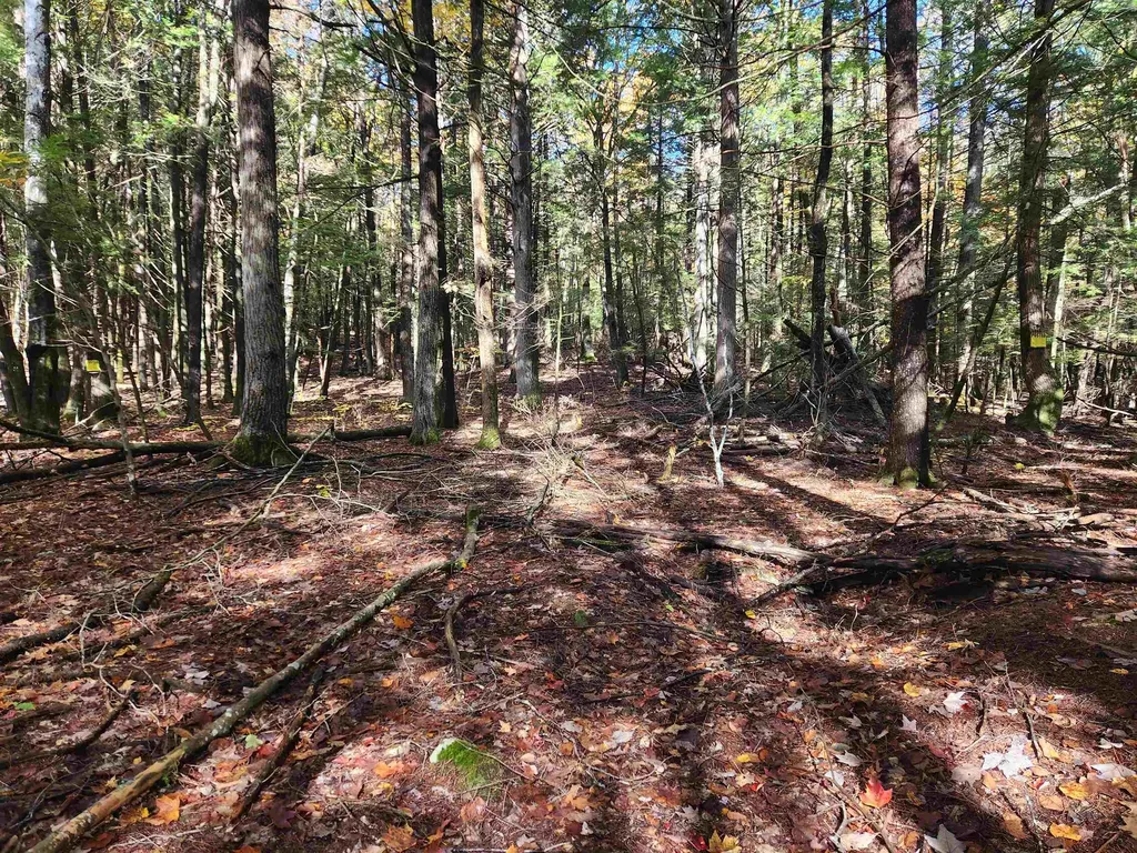 R02-13 Calef Hill Road Tilton NH 03276