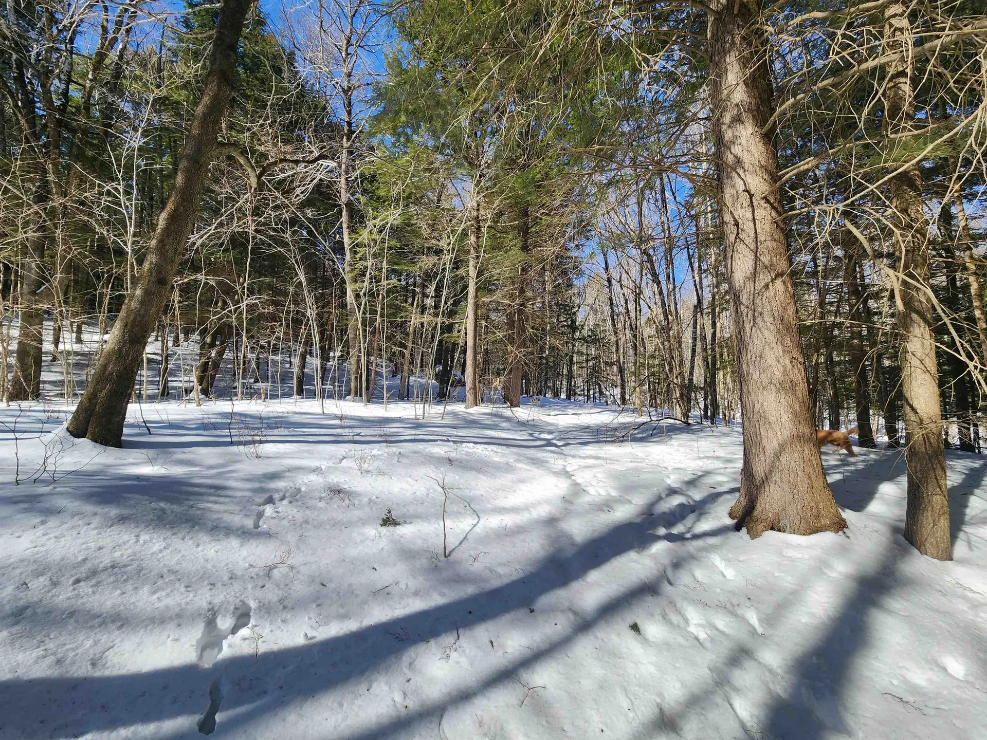 R02-13 Calef Hill Road Tilton NH 03276