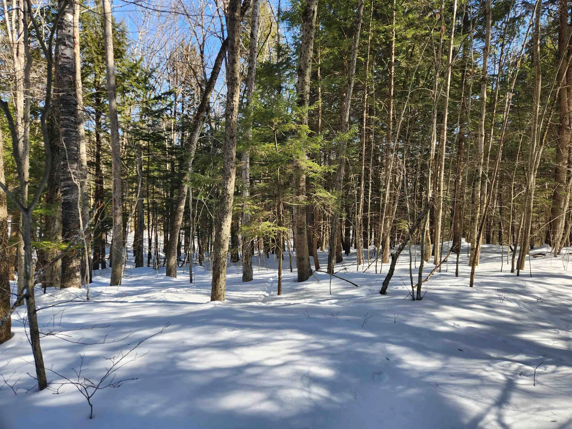 R02-13 Calef Hill Road Tilton NH 03276