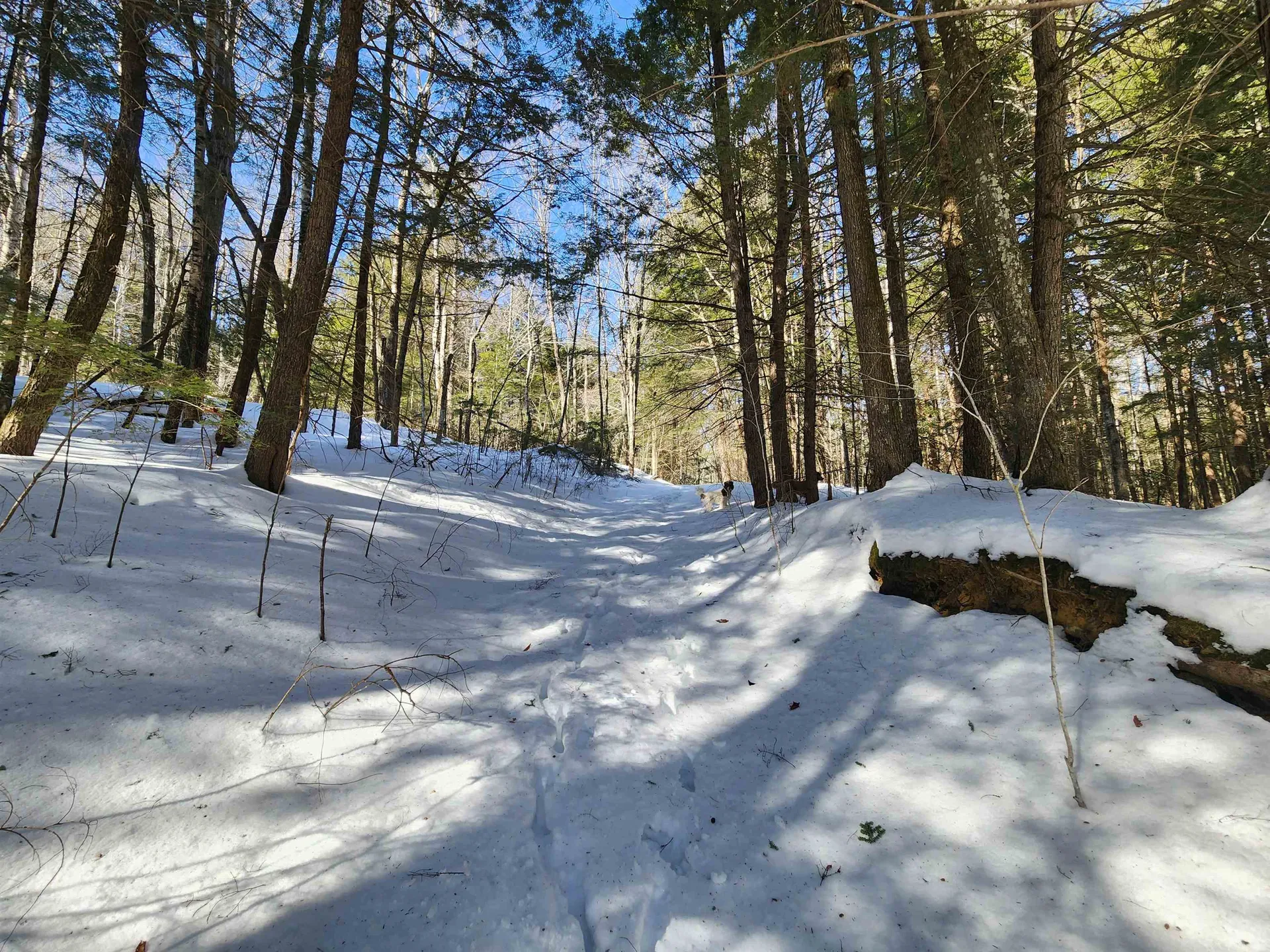 R02-13 Calef Hill Road Tilton NH 03276