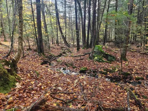 R02-13 Calef Hill Road Tilton NH 03276