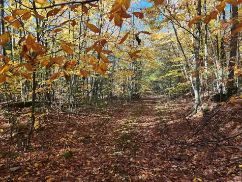 R02-13 Calef Hill Road Tilton NH 03276