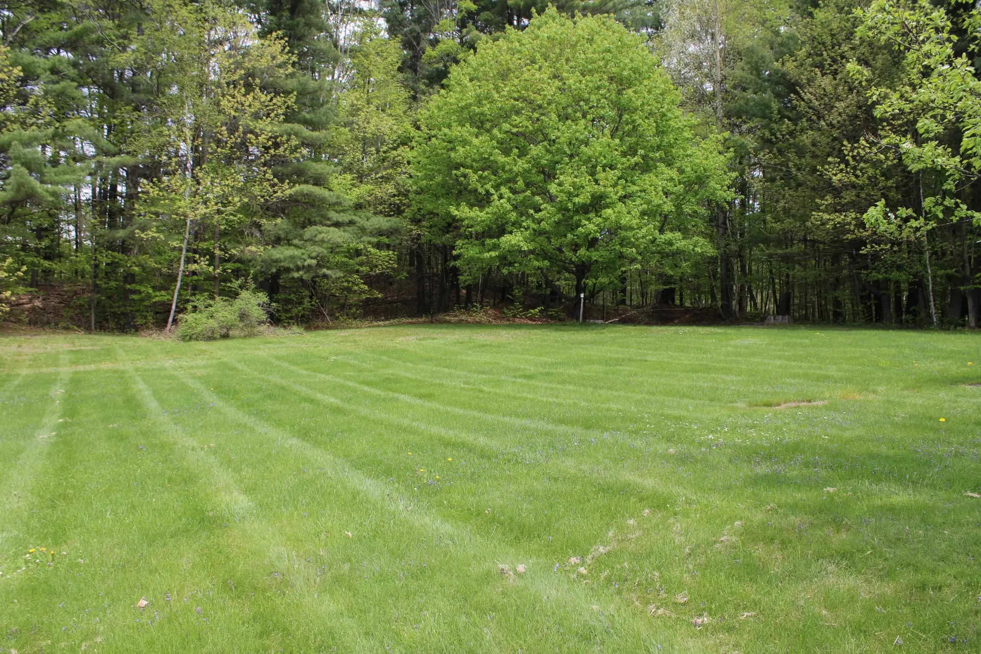 1728 West Road Ira VT 05777