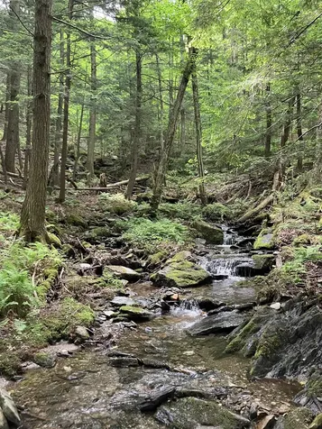 1075 Butternut Hill Road Waitsfield VT 05673