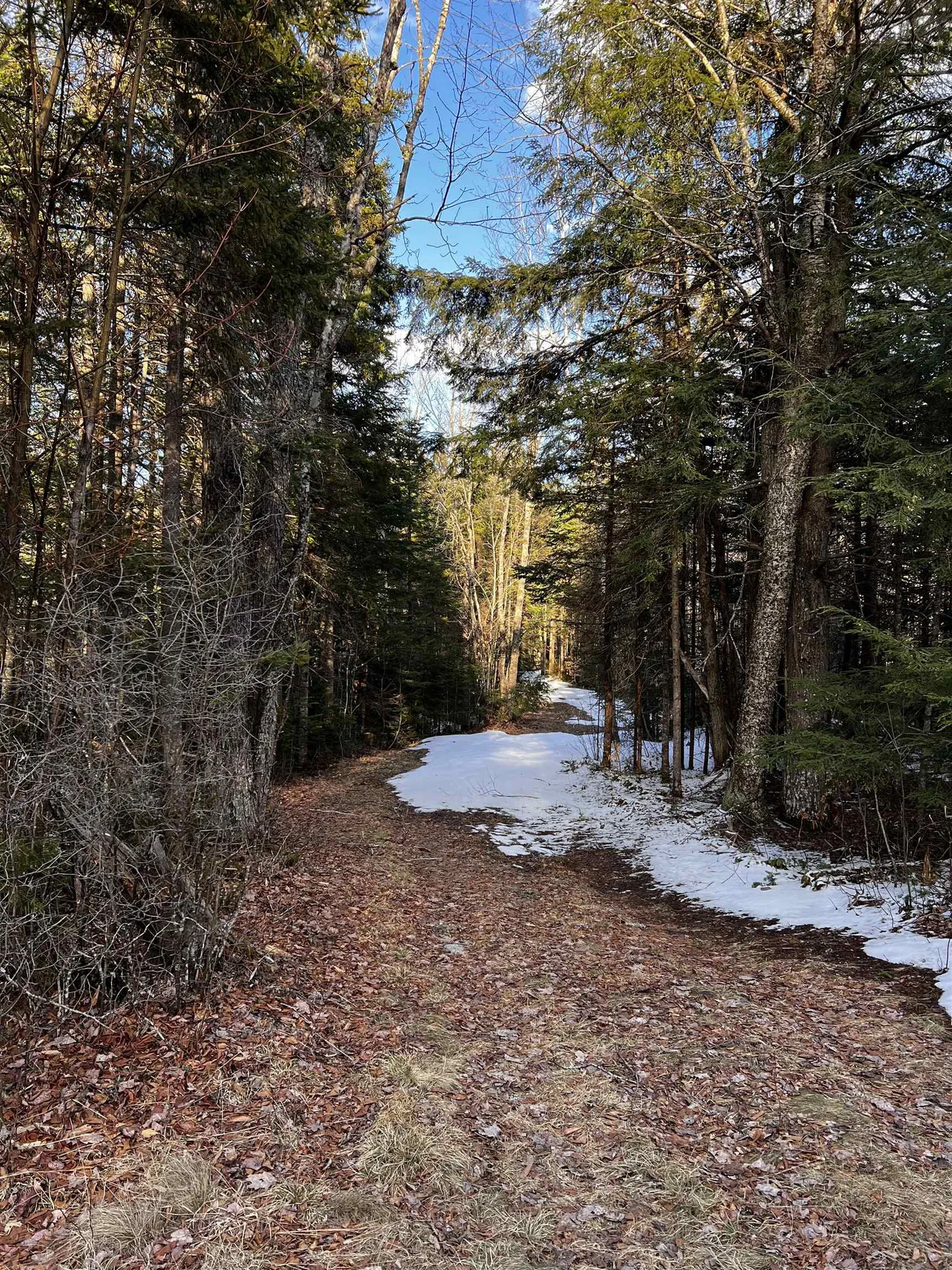 2137 Route 118 Dorchester NH 03266