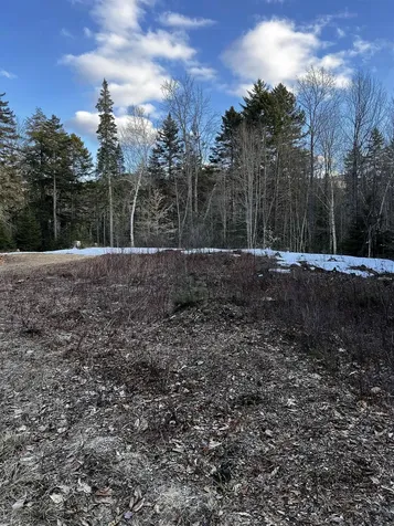 2137 Route 118 Dorchester NH 03266
