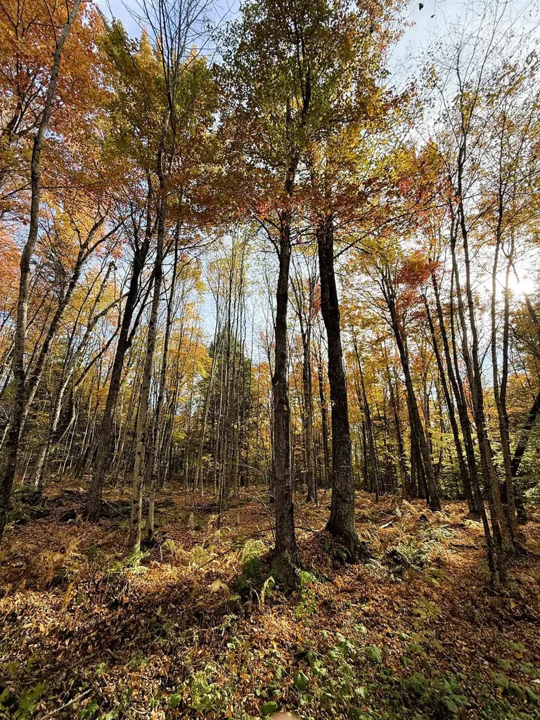 1156 Baird Road Barton VT 05822