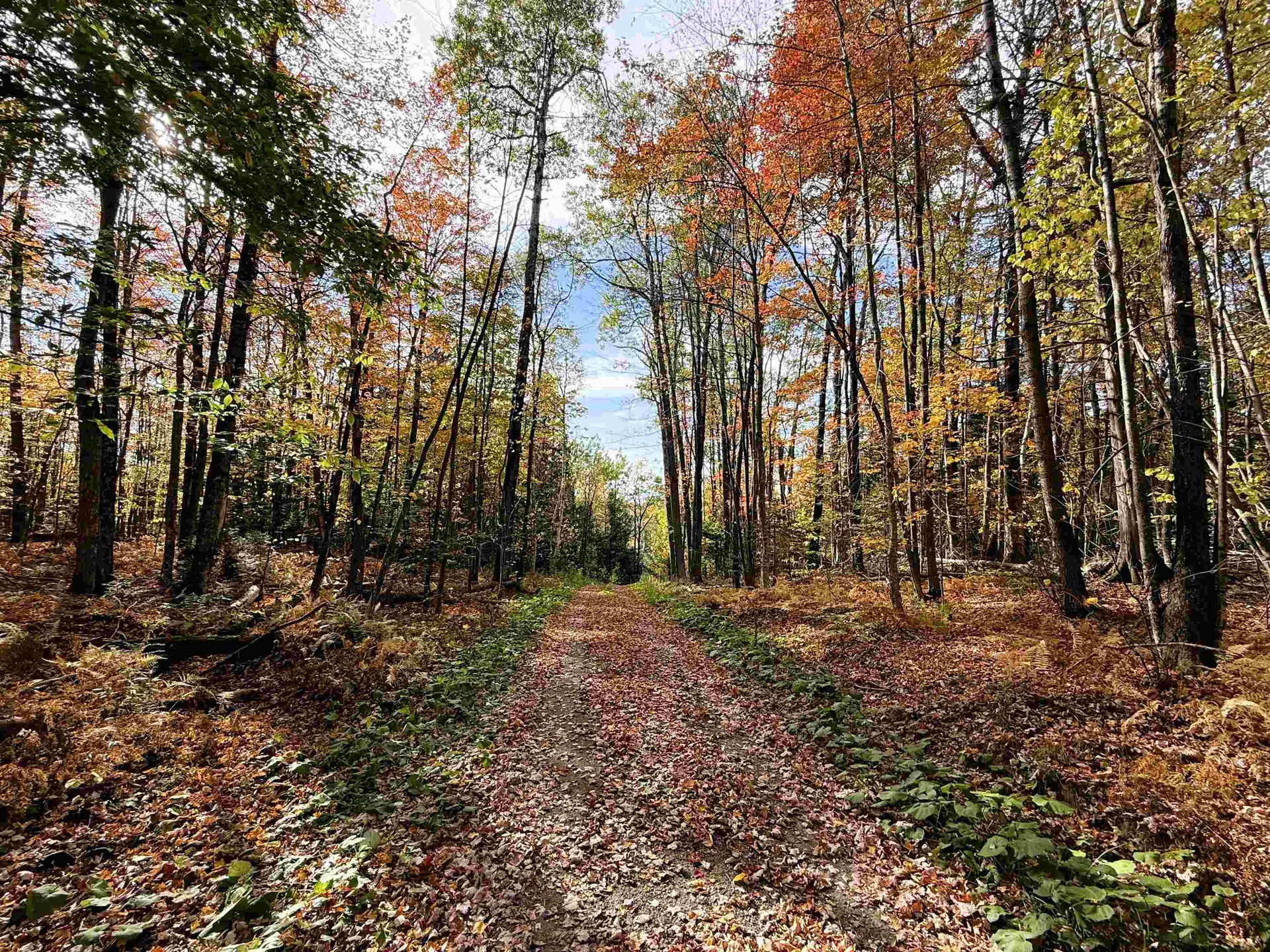 1156 Baird Road Barton VT 05822