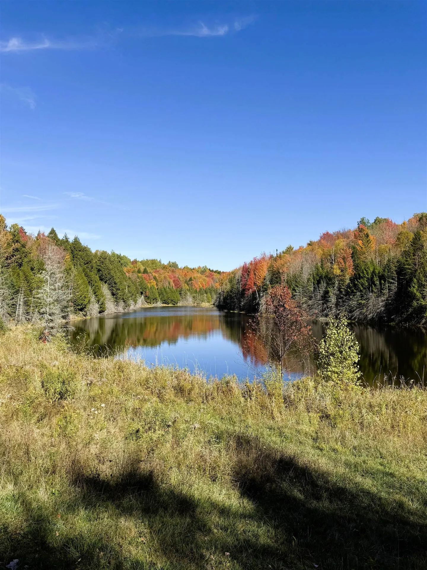 1156 Baird Road Barton VT 05822