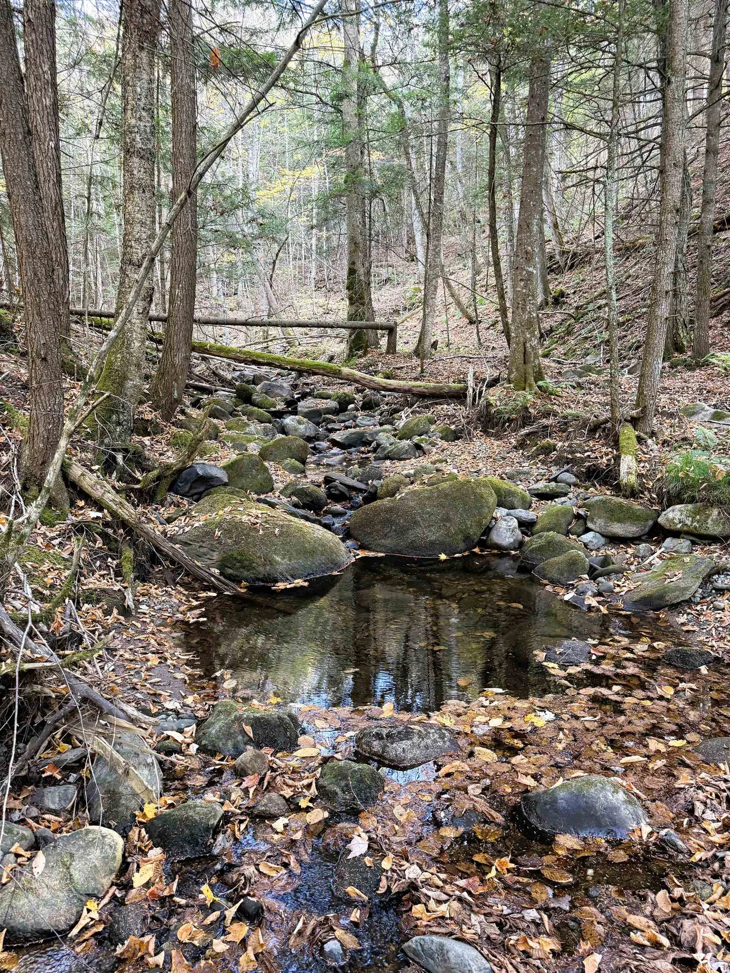 1156 Baird Road Barton VT 05822