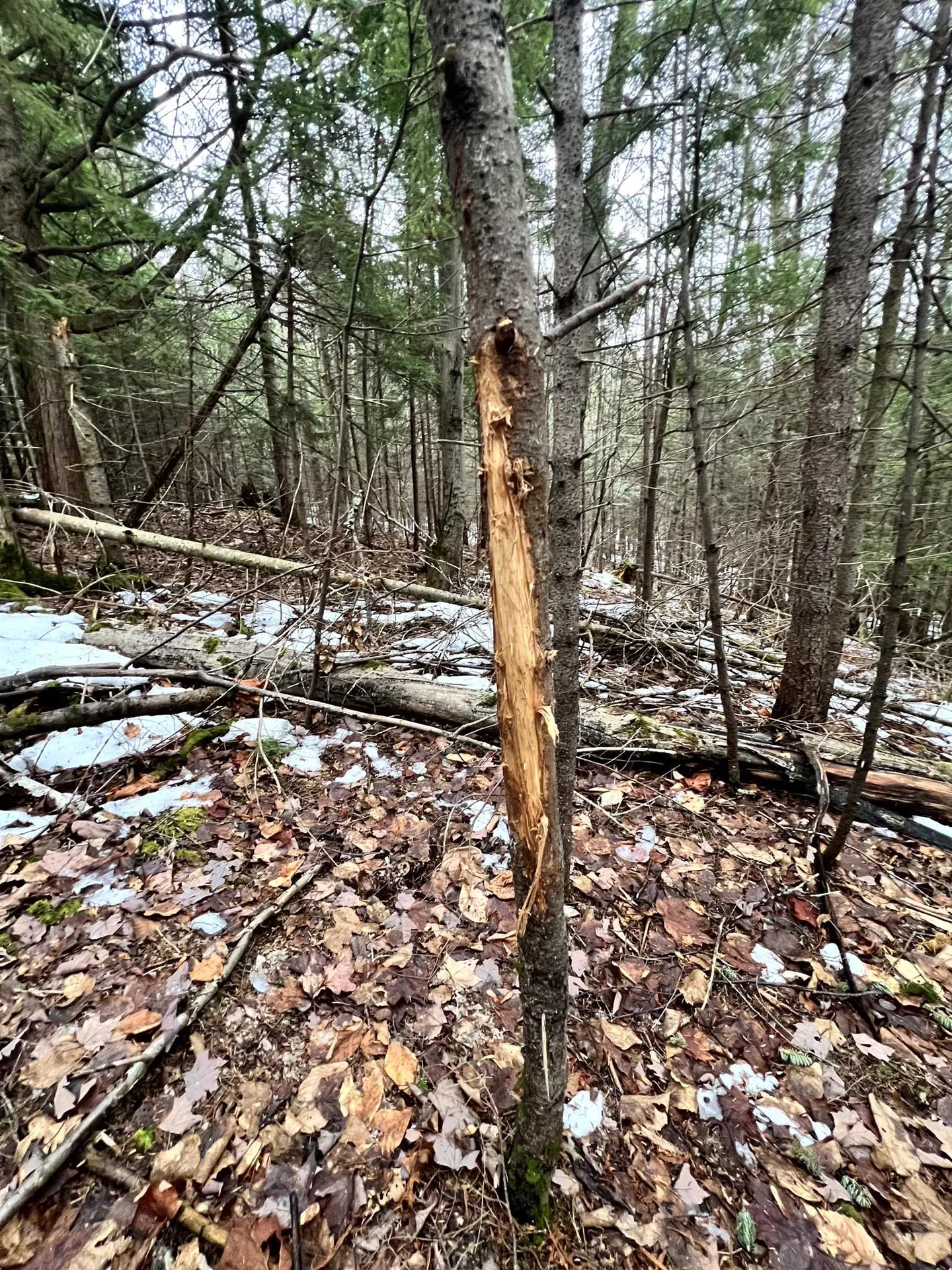 1156 Baird Road Barton VT 05822