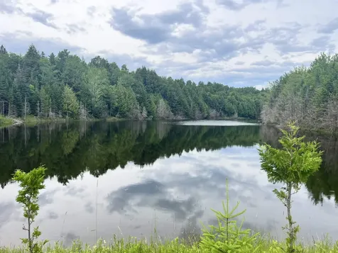 1156 Baird Road Barton VT 05822