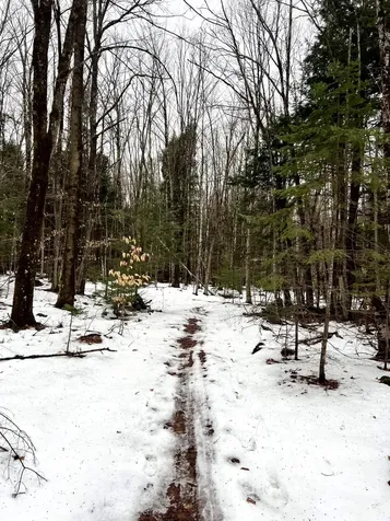 1156 Baird Road Barton VT 05822