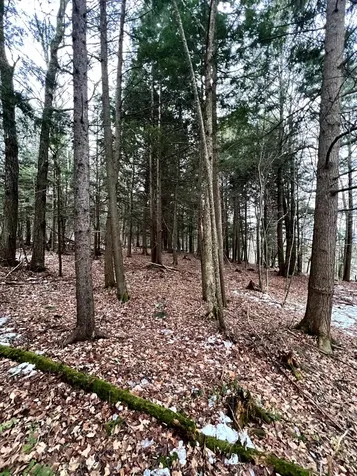 1156 Baird Road Barton VT 05822
