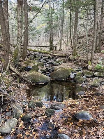 1156 Baird Road Barton VT 05822