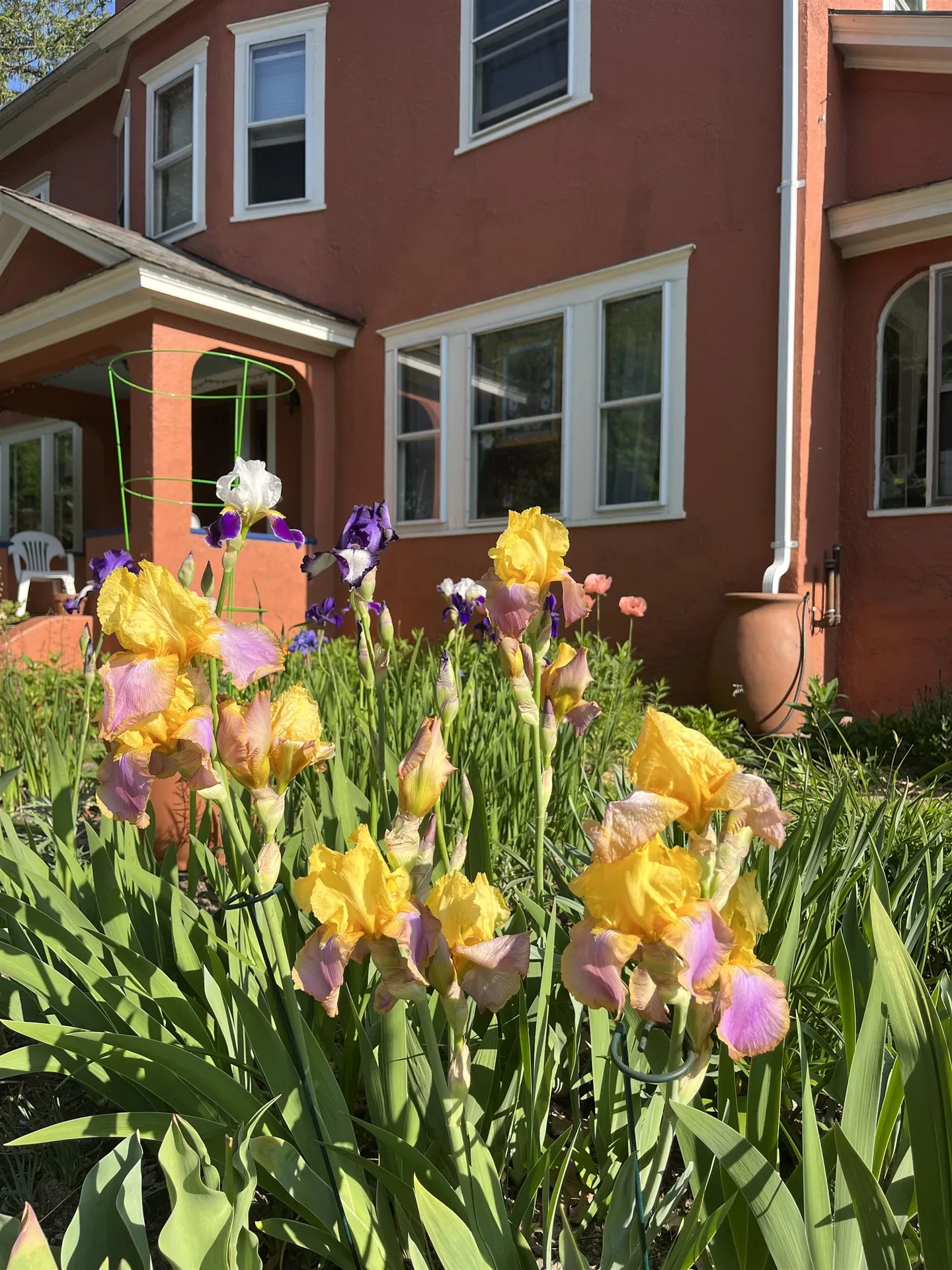 101 Washington Street Brattleboro VT 05301