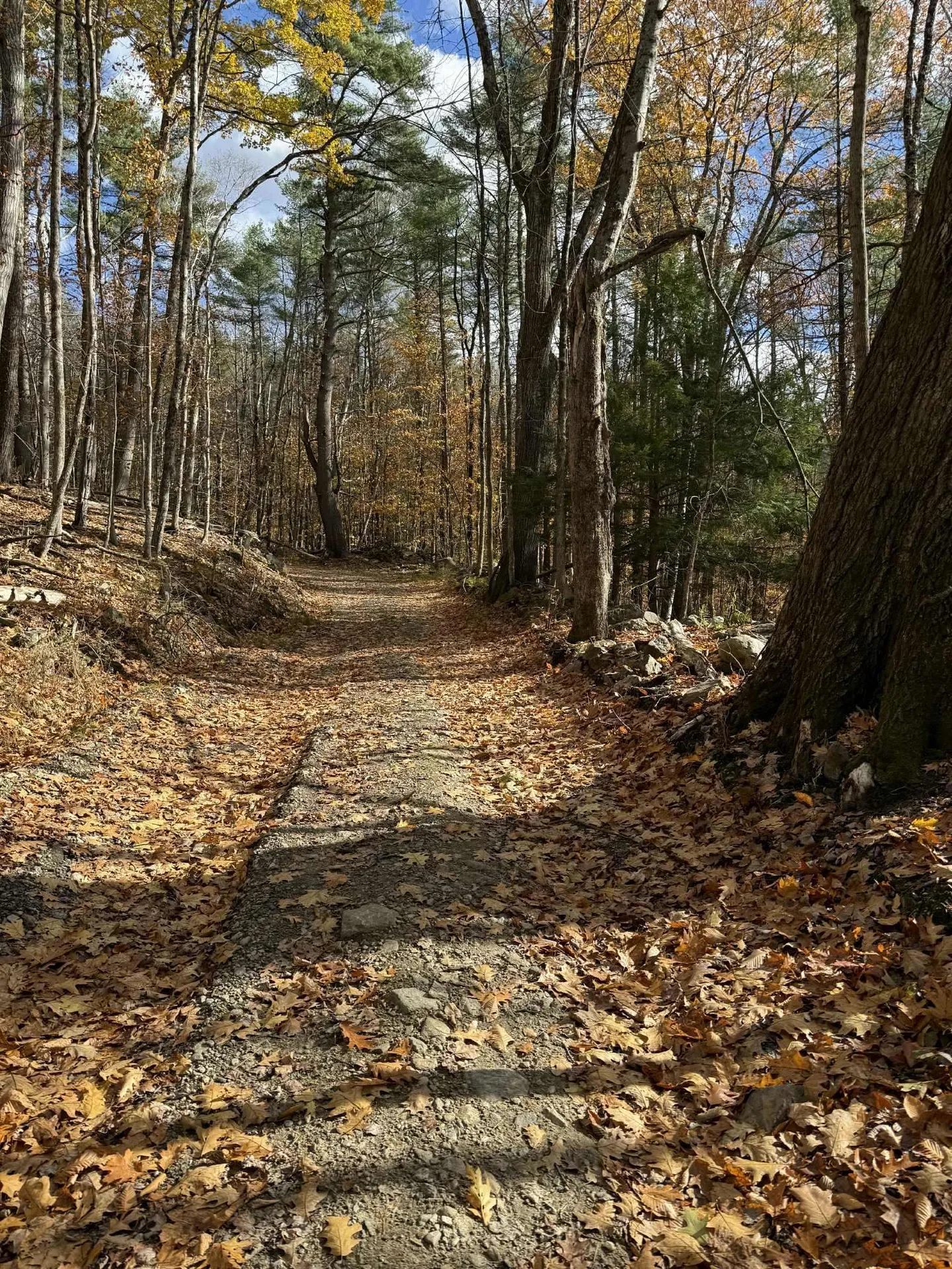 60 Pound Road Sanbornton NH 03269
