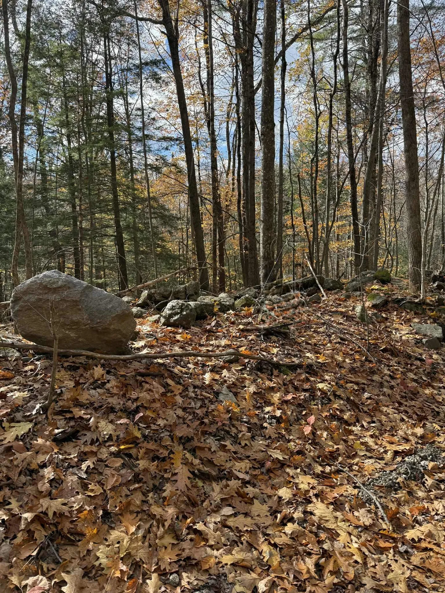 60 Pound Road Sanbornton NH 03269