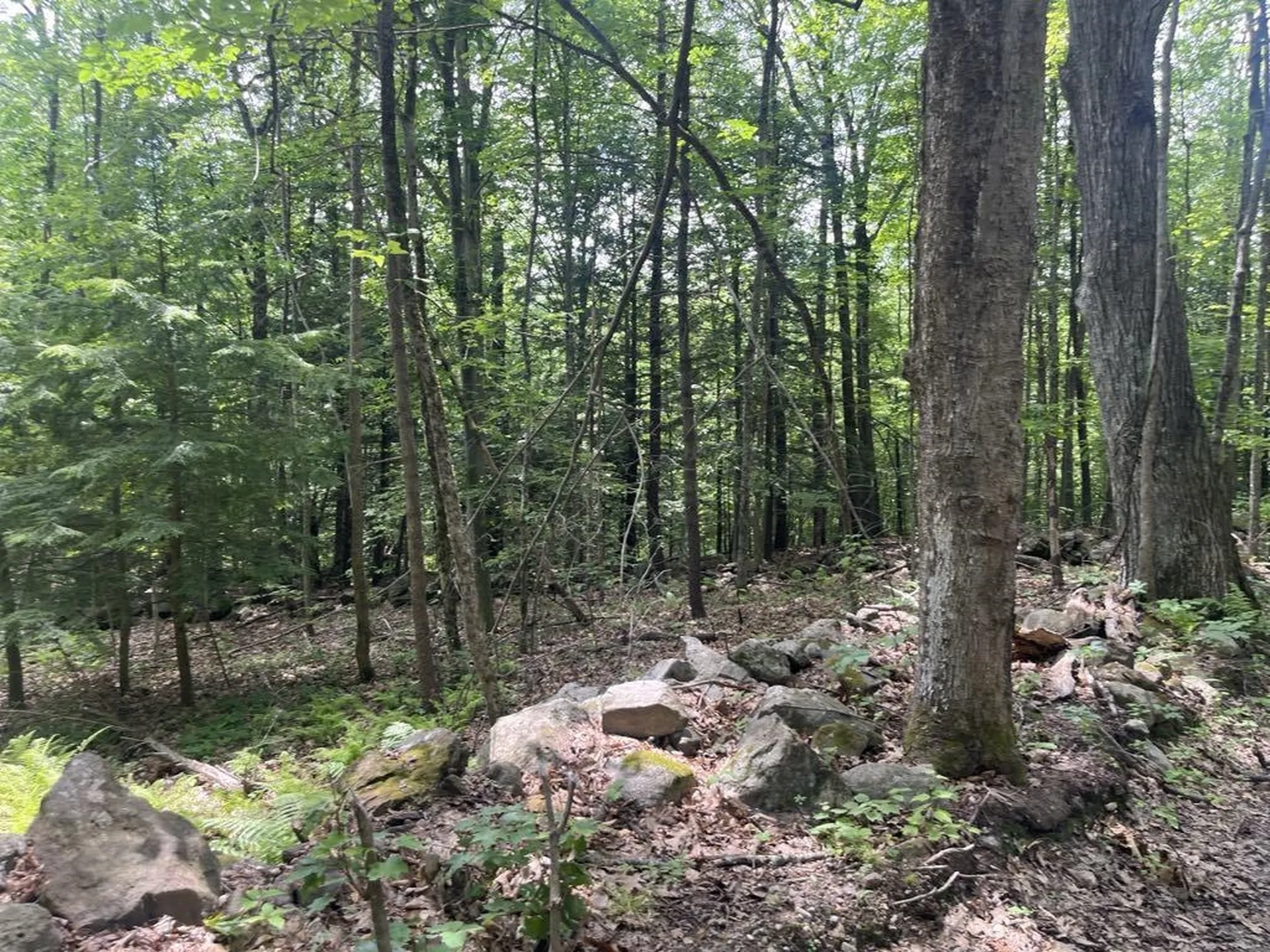 60 Pound Road Sanbornton NH 03269