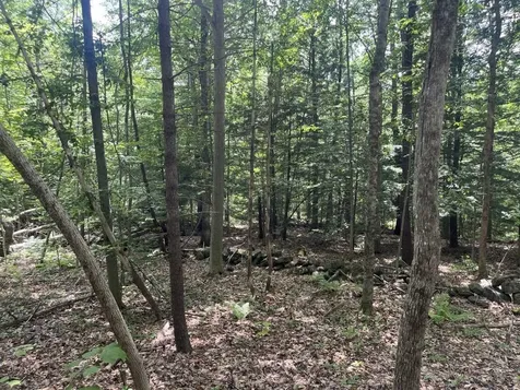 60 Pound Road Sanbornton NH 03269