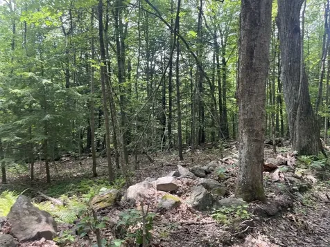 60 Pound Road Sanbornton NH 03269