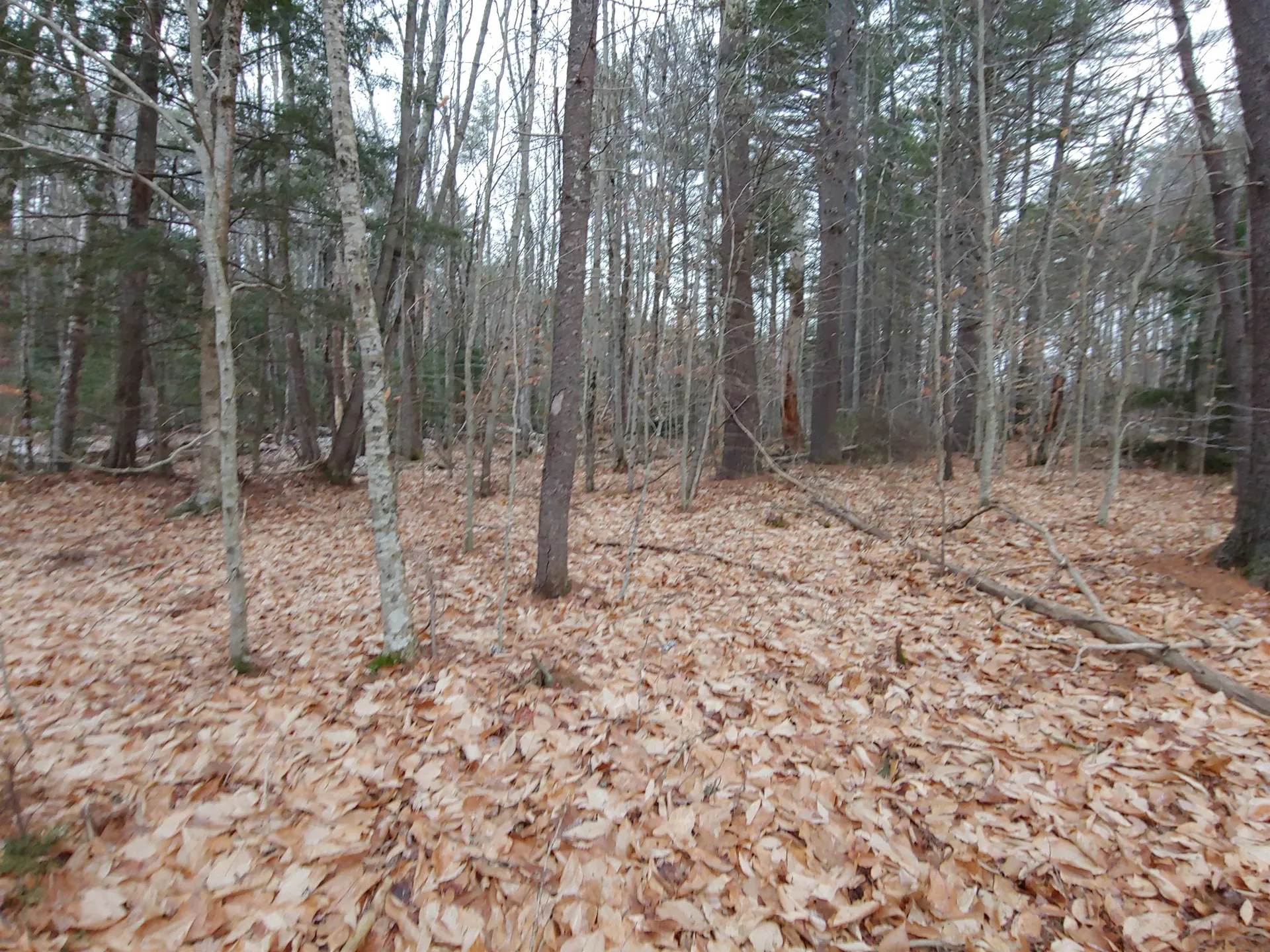 Lot 72 Holmes Road Barnstead NH 03225