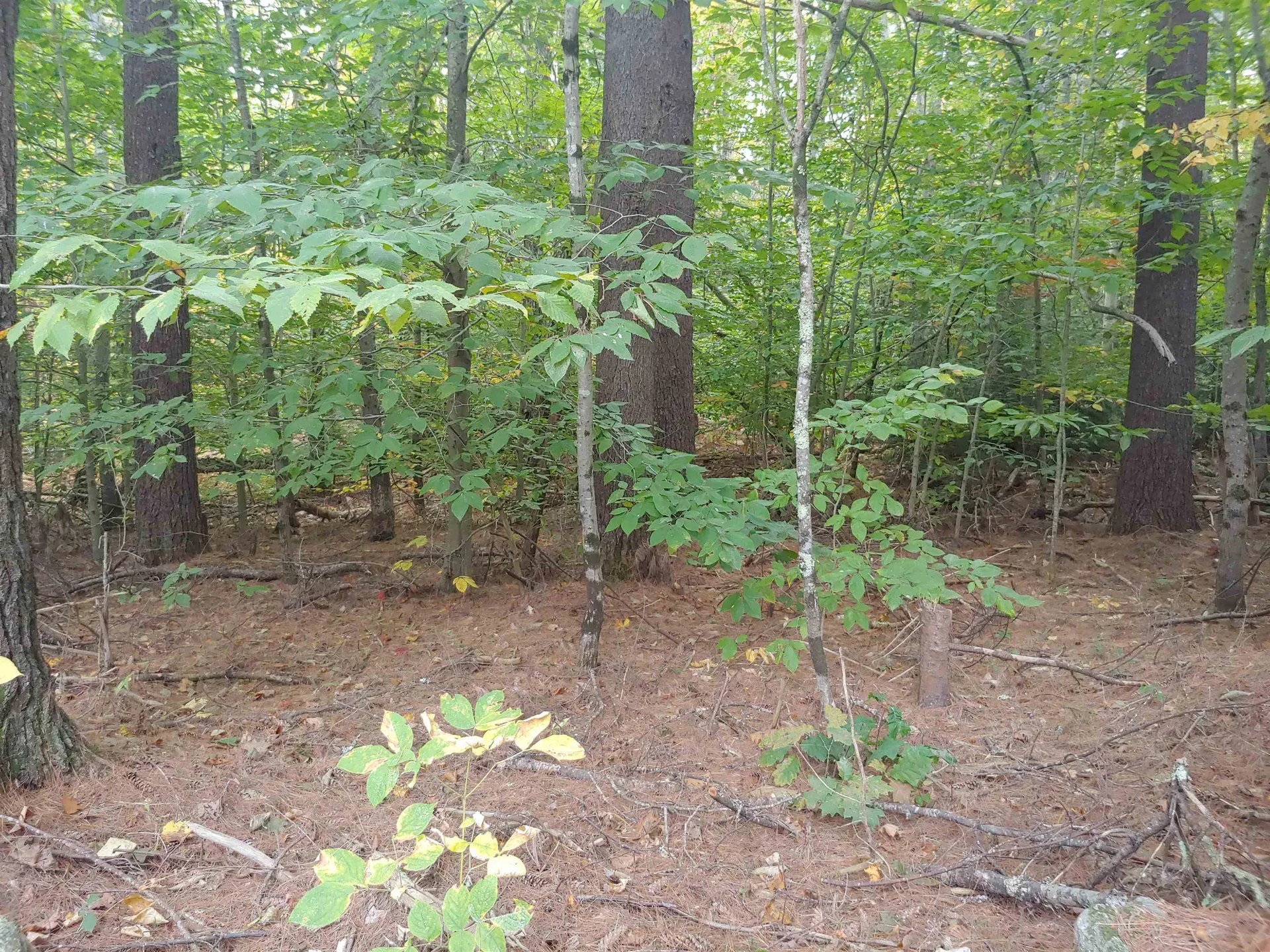 Lot 72 Holmes Road Barnstead NH 03225