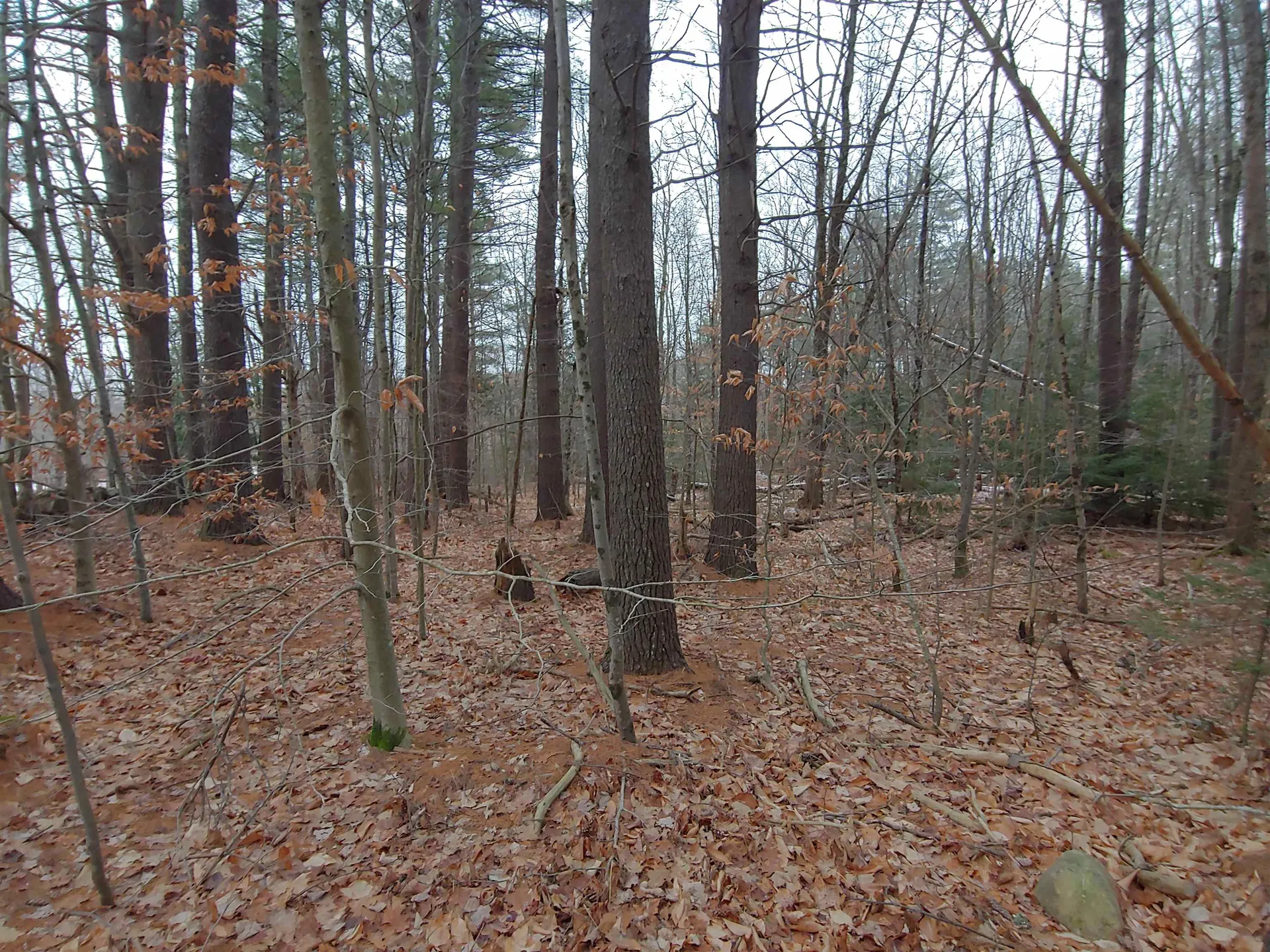 Lot 72 Holmes Road Barnstead NH 03225