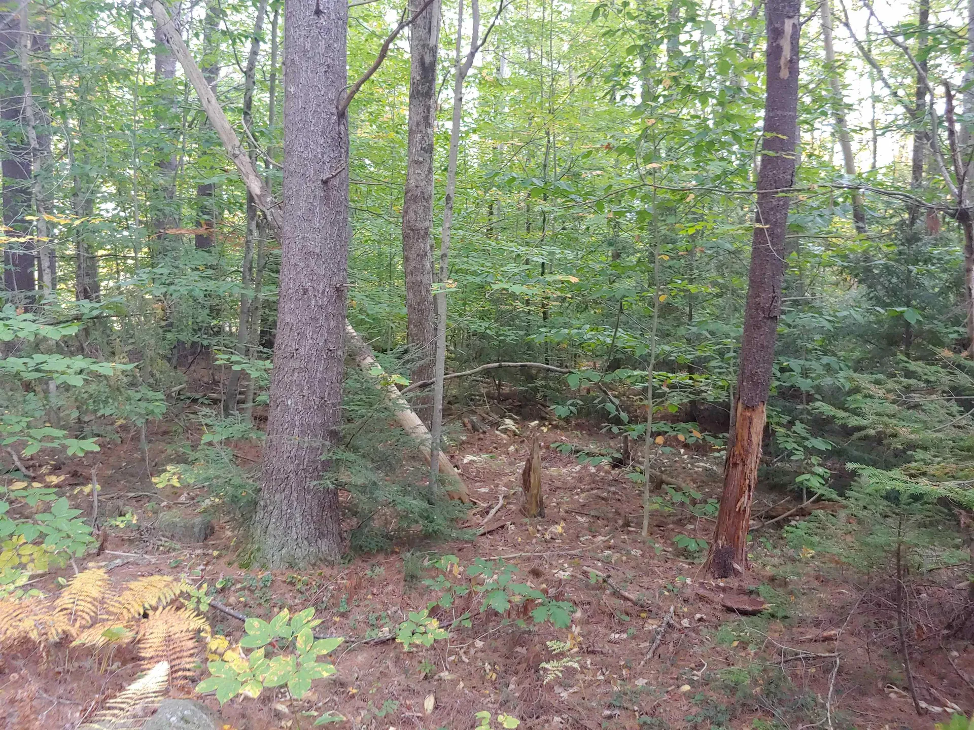 Lot 72 Holmes Road Barnstead NH 03225