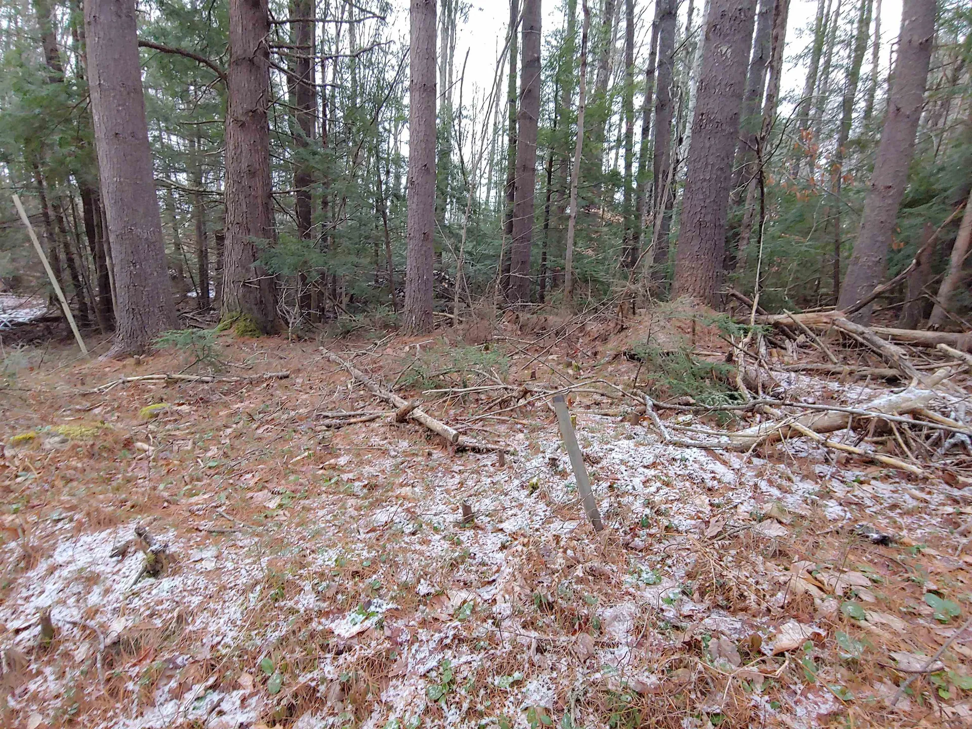 Lot 72 Holmes Road Barnstead NH 03225