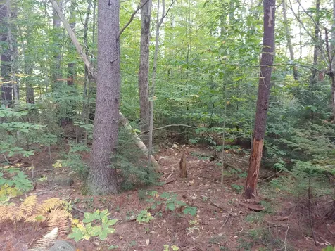 Lot 72 Holmes Road Barnstead NH 03225