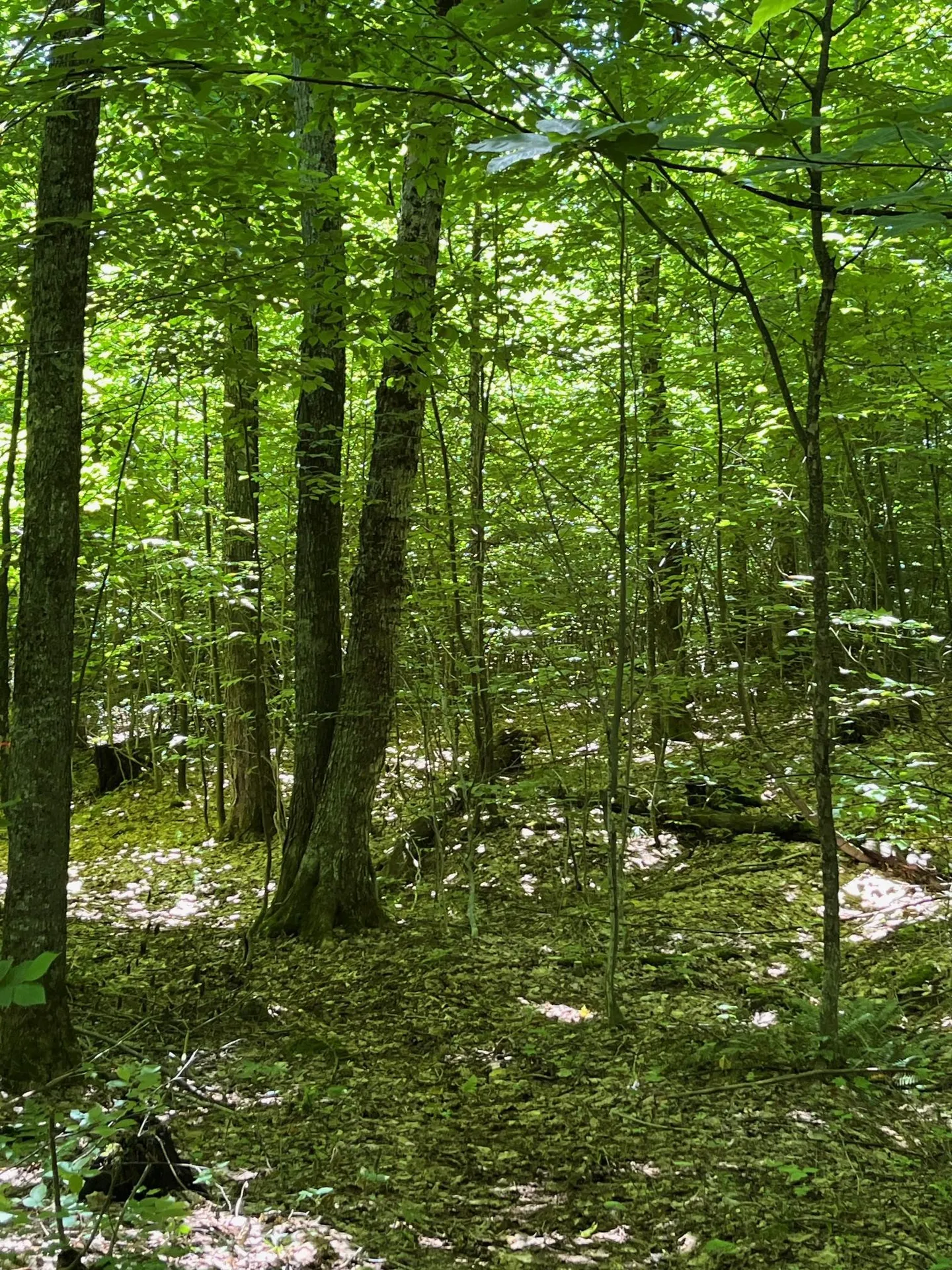 3c Westover Road Jay VT 05859