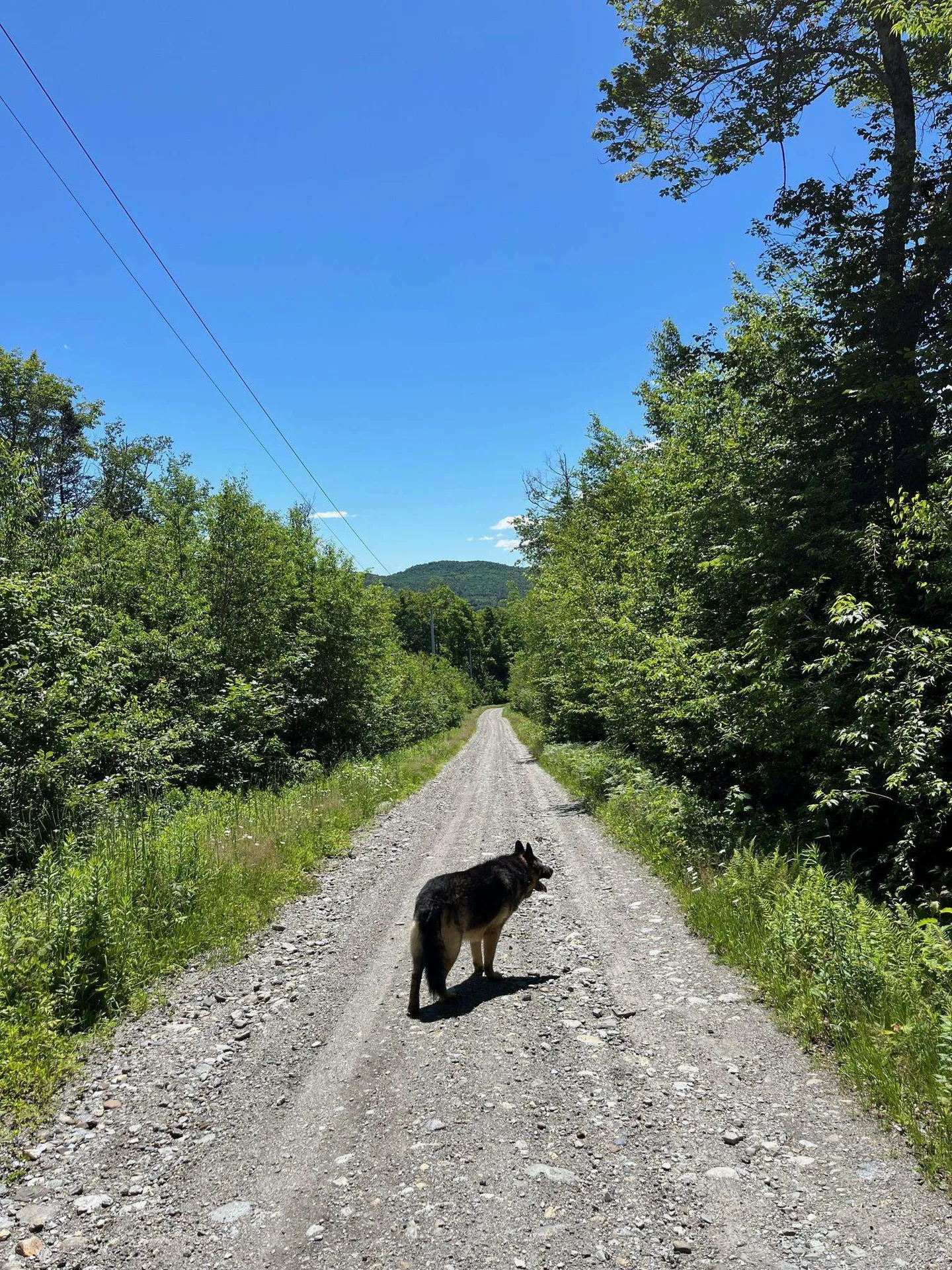 3c Westover Road Jay VT 05859