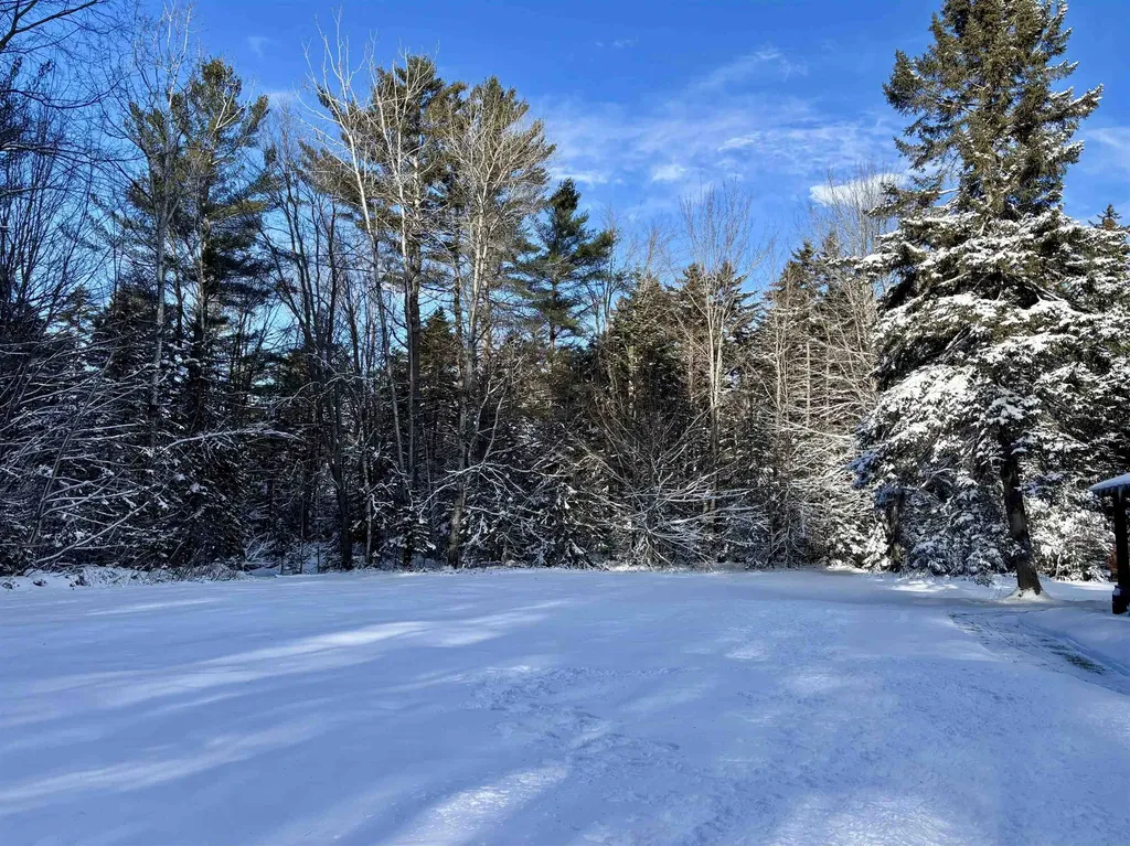 187 Hardwood Mountain Road Marshfield VT 05658