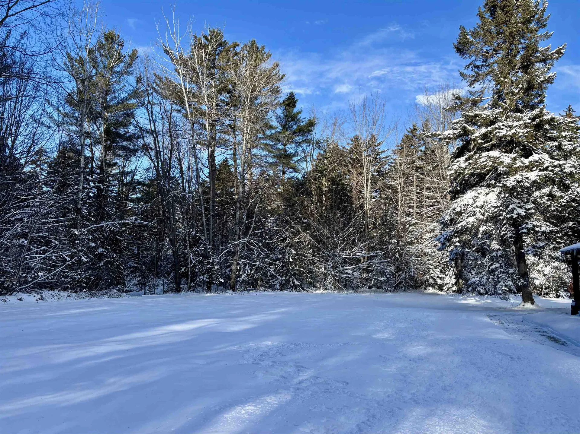 187 Hardwood Mountain Road Marshfield VT 05658