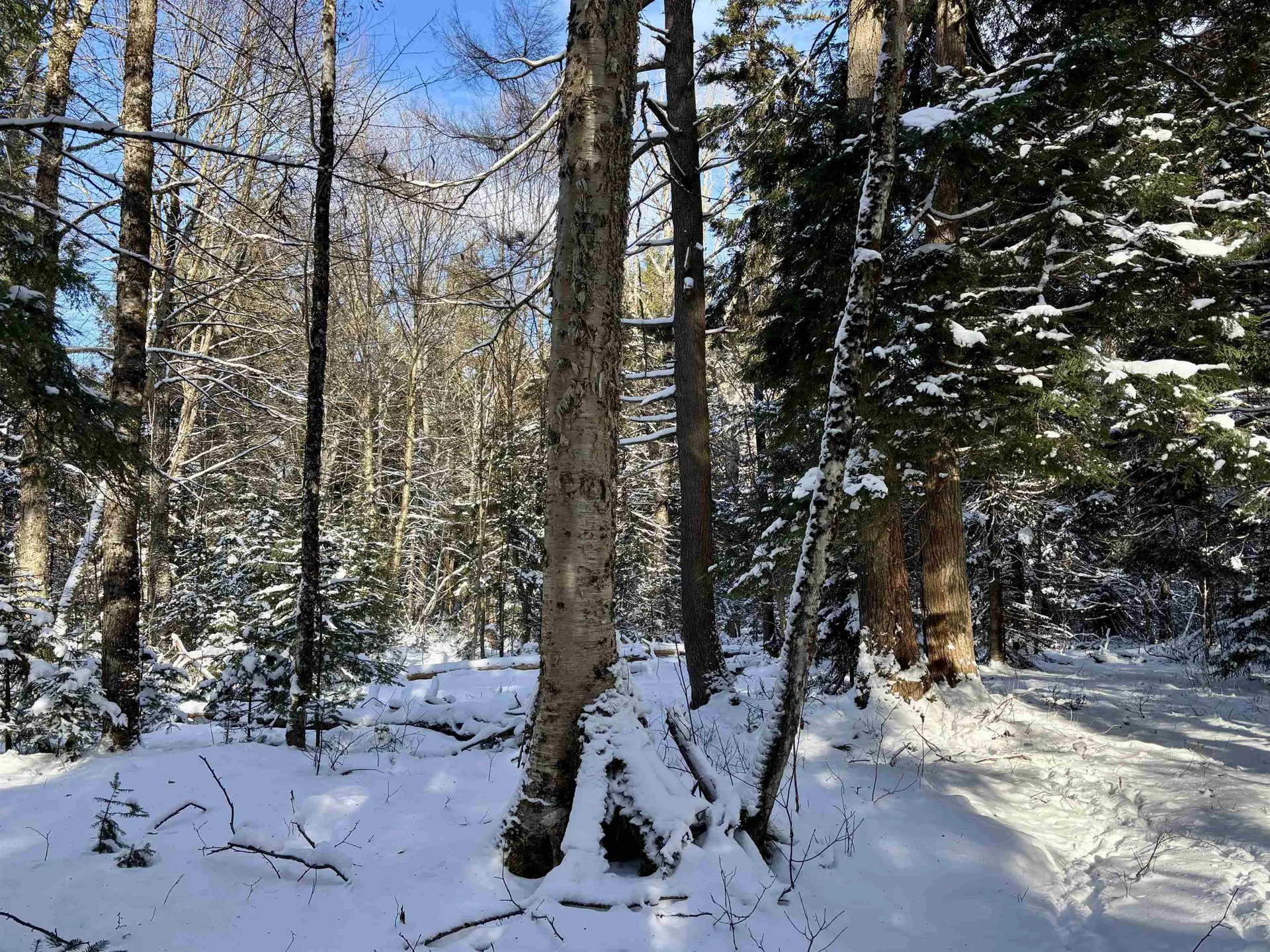 187 Hardwood Mountain Road Marshfield VT 05658