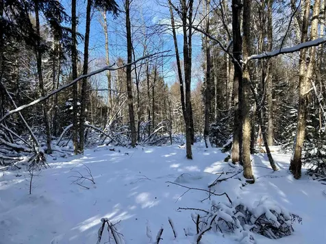 187 Hardwood Mountain Road Marshfield VT 05658