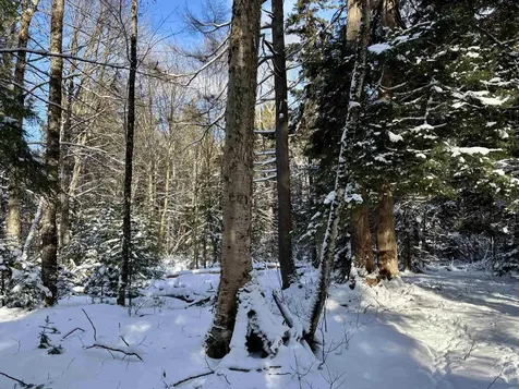 187 Hardwood Mountain Road Marshfield VT 05658