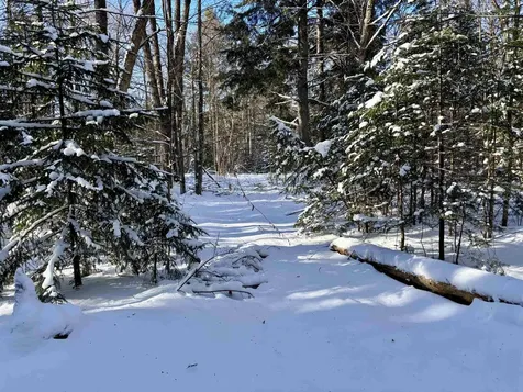 187 Hardwood Mountain Road Marshfield VT 05658