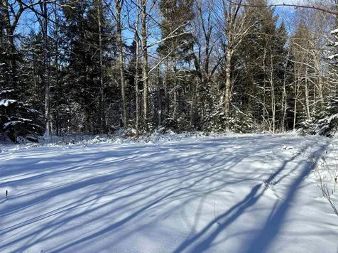 187 Hardwood Mountain Road Marshfield VT 05658