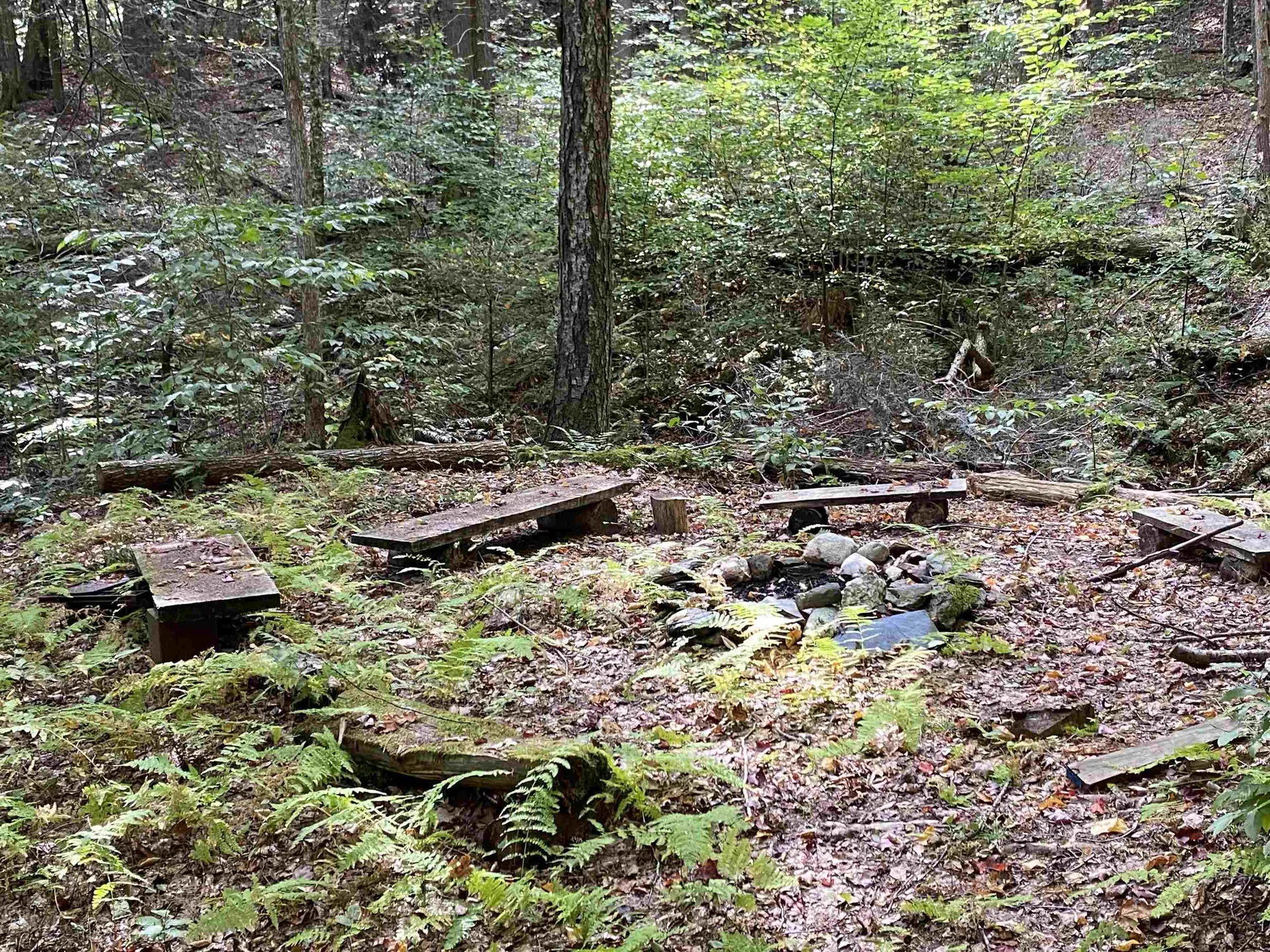 1383 Packer Corners Road Guilford VT 05301