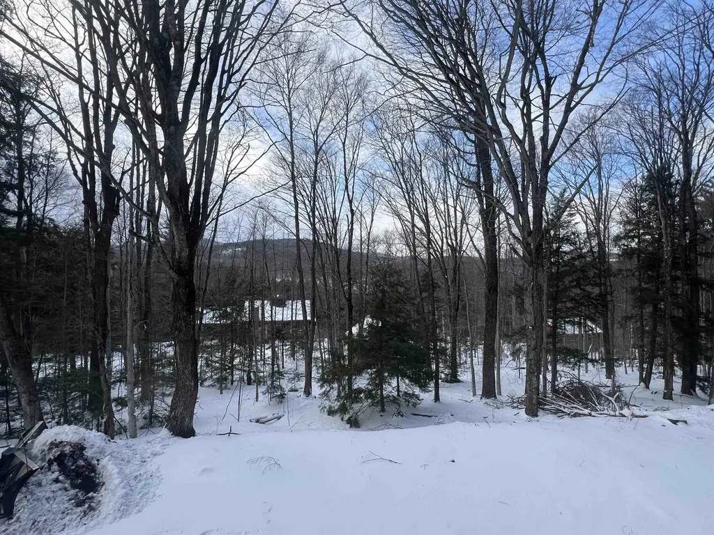 655 East Hill Road Wardsboro VT 05355